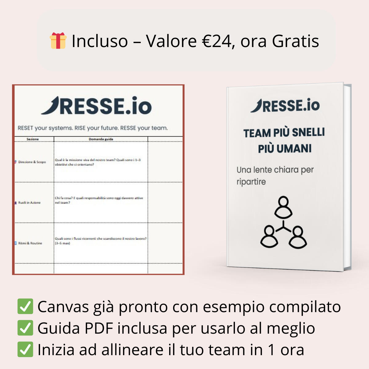 RESSE.io Kickstart Kit RESSE.io Kickstart Kit